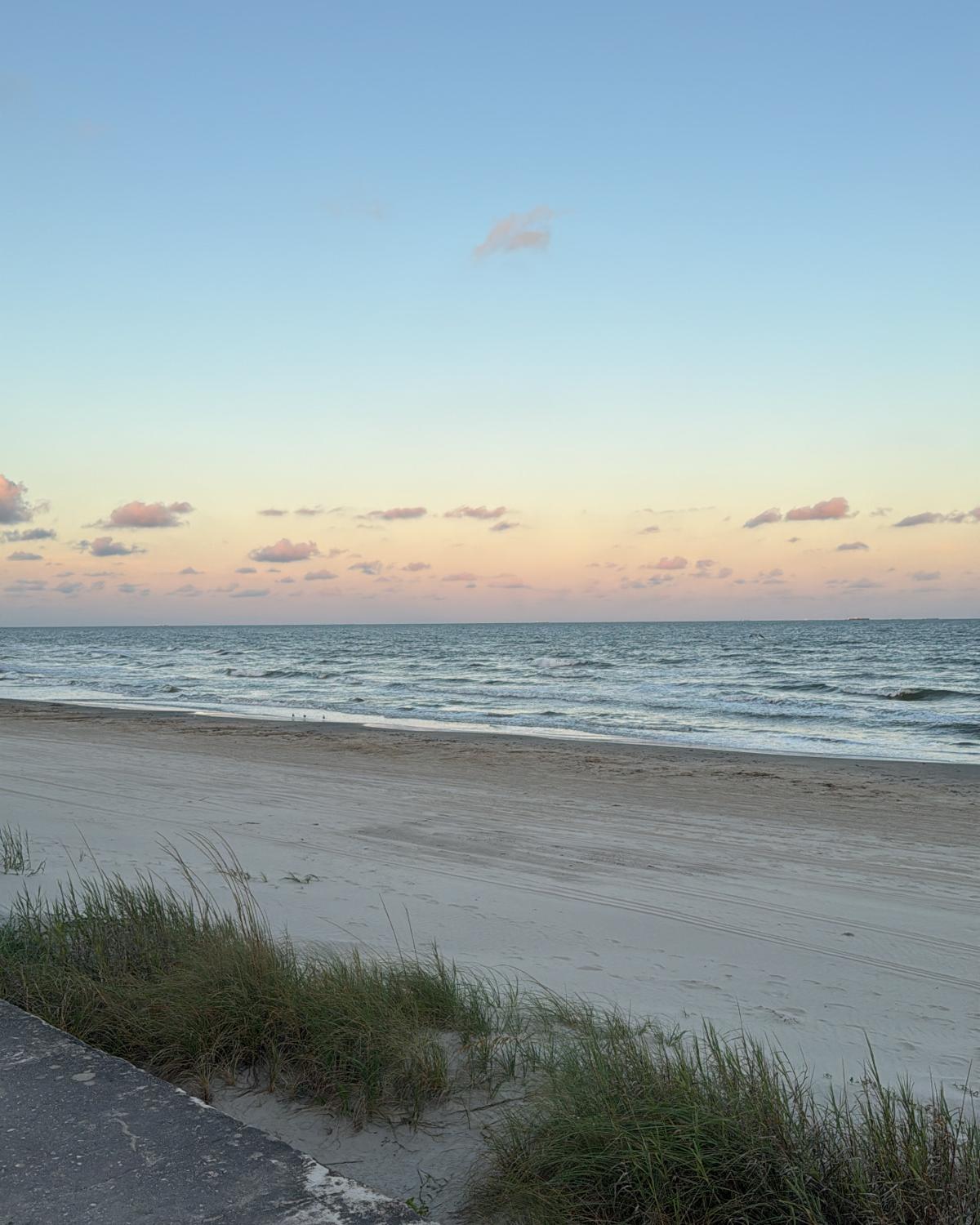 A pastel sunset over a quiet beach, with dune grass in the foreground